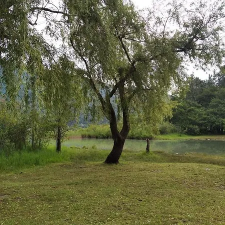 Apartament Tra La Stazione E Il Lago Verbania