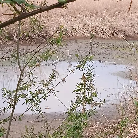 Tra La Stazione E Il Lago Apartament Verbania