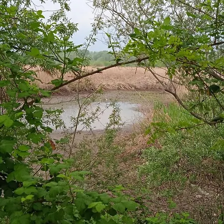 Apartment Tra La Stazione E Il *