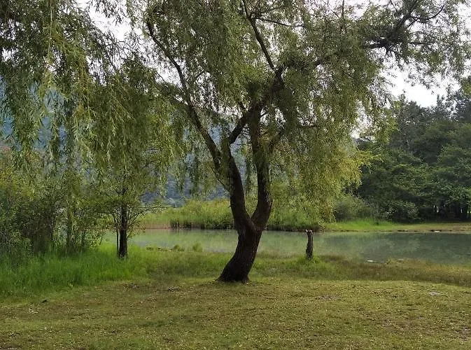 Apartament Tra La Stazione E Il Verbania