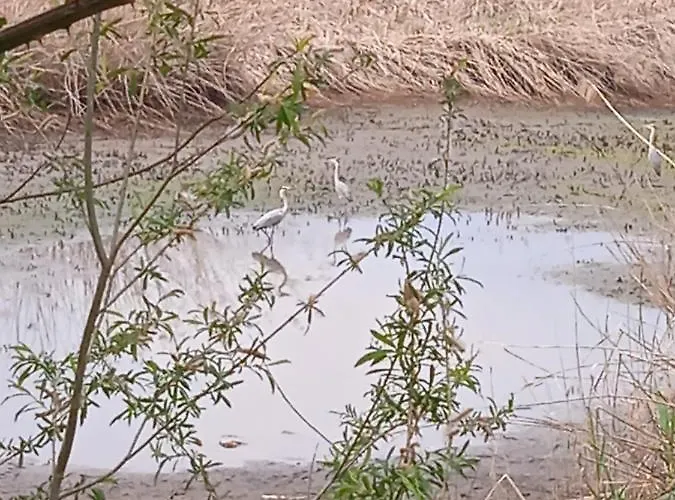 Tra La Stazione E Il Apartament Verbania