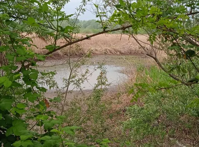 Apartament Tra La Stazione E Il *